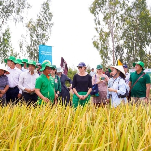 Việt Nam và Australia hợp tác trước tác động của khủng hoảng khí hậu