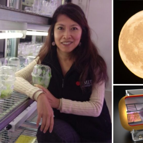 Nữ khoa học người Úc gốc Việt với dự án đưa cây trồng lên mặt trăng