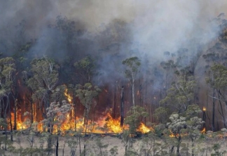 Máy lọc không khí giúp bảo vệ hàng triệu người Australia khỏi khói bụi cháy rừng